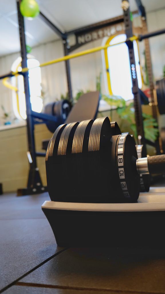Dumbbell rack by a window in the studio