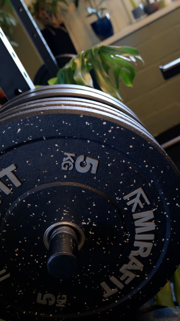 A 5kg weight plate close up